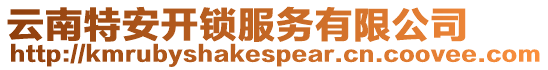 云南特安開(kāi)鎖服務(wù)有限公司