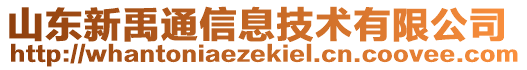 山東新禹通信息技術(shù)有限公司