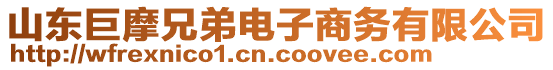 山東巨摩兄弟電子商務(wù)有限公司