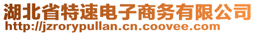 湖北省特速電子商務(wù)有限公司