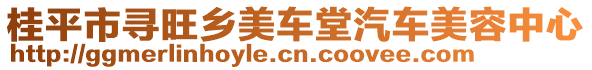 桂平市尋旺鄉(xiāng)美車堂汽車美容中心