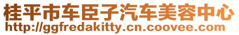 桂平市車(chē)臣子汽車(chē)美容中心