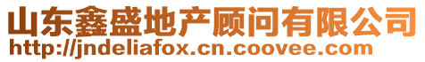 山東鑫盛地產(chǎn)顧問有限公司