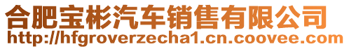 合肥寶彬汽車銷售有限公司