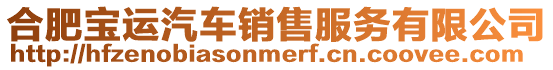 合肥寶運汽車銷售服務有限公司