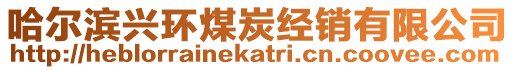 哈爾濱興環(huán)煤炭經(jīng)銷有限公司