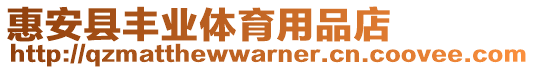 惠安縣豐業體育用品店