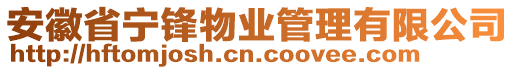 安徽省寧鋒物業(yè)管理有限公司