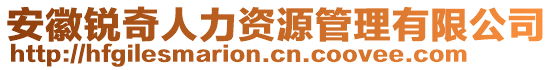 安徽銳奇人力資源管理有限公司