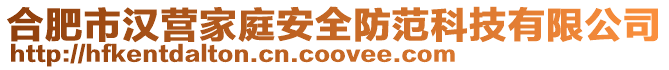 合肥市漢營家庭安全防范科技有限公司