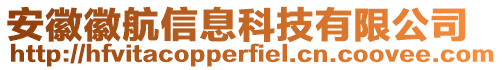 安徽徽航信息科技有限公司