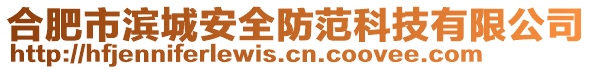 合肥市濱城安全防范科技有限公司