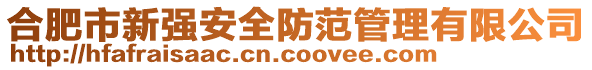 合肥市新強(qiáng)安全防范管理有限公司