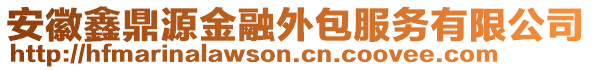 安徽鑫鼎源金融外包服務(wù)有限公司