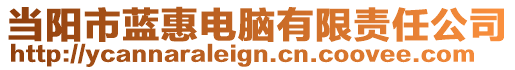 當陽市藍惠電腦有限責任公司