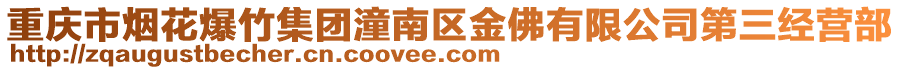 重慶市煙花爆竹集團(tuán)潼南區(qū)金佛有限公司第三經(jīng)營(yíng)部