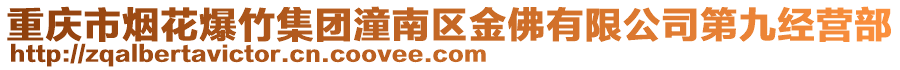 重慶市煙花爆竹集團(tuán)潼南區(qū)金佛有限公司第九經(jīng)營部