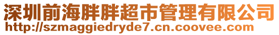 深圳前海胖胖超市管理有限公司