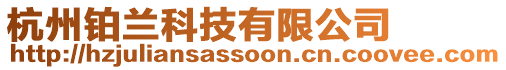 杭州鉑蘭科技有限公司