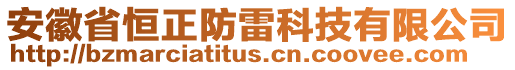 安徽省恒正防雷科技有限公司