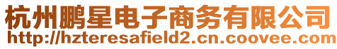 杭州鵬星電子商務(wù)有限公司