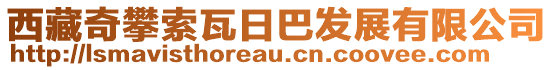 西藏奇攀索瓦日巴發(fā)展有限公司