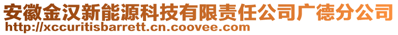 安徽金漢新能源科技有限責任公司廣德分公司