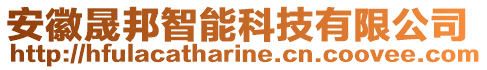 安徽晟邦智能科技有限公司