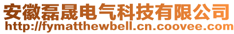 安徽磊晟電氣科技有限公司