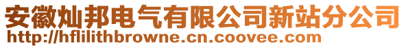 安徽燦邦電氣有限公司新站分公司