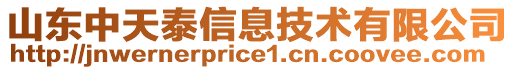 山東中天泰信息技術(shù)有限公司