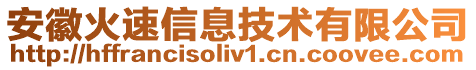 安徽火速信息技術有限公司