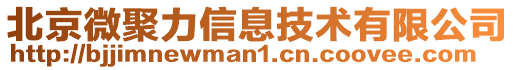 北京微聚力信息技術有限公司