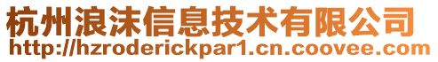 杭州浪沫信息技術(shù)有限公司