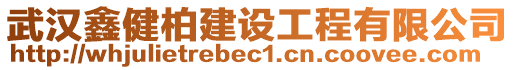 武漢鑫健柏建設(shè)工程有限公司