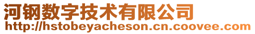 河鋼數(shù)字技術(shù)有限公司