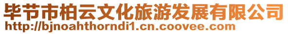 畢節市柏云文化旅游發展有限公司