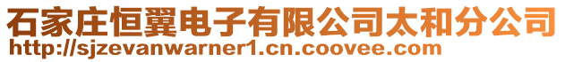 石家莊恒翼電子有限公司太和分公司
