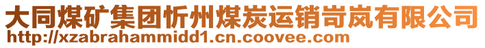 大同煤礦集團(tuán)忻州煤炭運(yùn)銷岢嵐有限公司