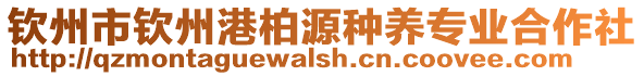 欽州市欽州港柏源種養專業合作社