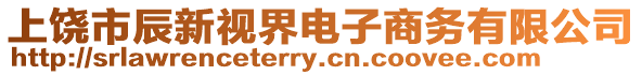 上饒市辰新視界電子商務(wù)有限公司