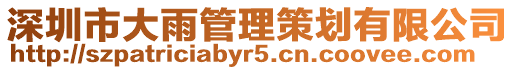 深圳市大雨管理策劃有限公司