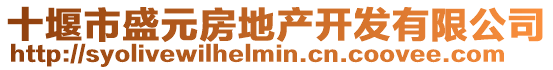 十堰市盛元房地產開發有限公司