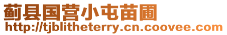 薊縣國營小屯苗圃