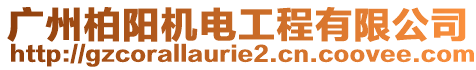 廣州柏陽機電工程有限公司