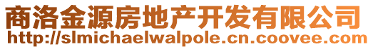商洛金源房地產(chǎn)開發(fā)有限公司