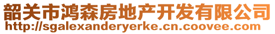 韶關(guān)市鴻森房地產(chǎn)開發(fā)有限公司