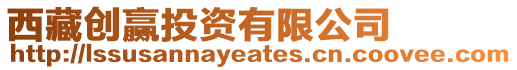 西藏創(chuàng)贏投資有限公司