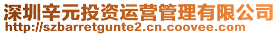 深圳辛元投資運營管理有限公司