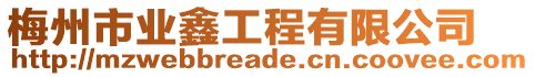 梅州市業鑫工程有限公司